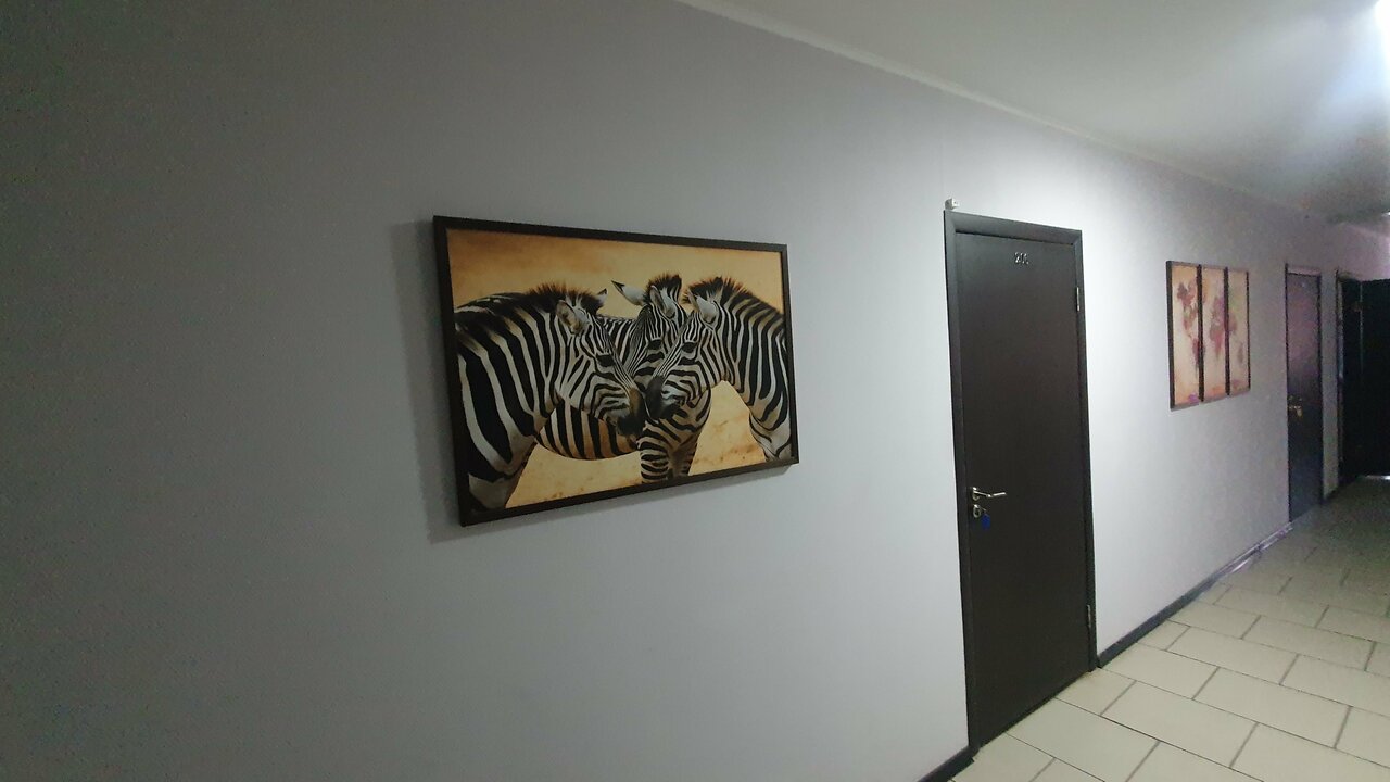 Гостиница Зебра Йошкар-Ола-40