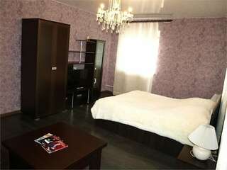 Гостиница Зебра Йошкар-Ола Двухместный номер с 1 кроватью большой-2