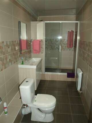 Гостиница Зебра Йошкар-Ола Двухместный номер с 1 кроватью большой-4