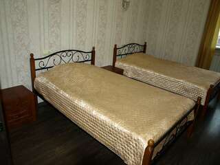 Гостиница Зебра Йошкар-Ола Двухместный номер с двумя кроватями-1