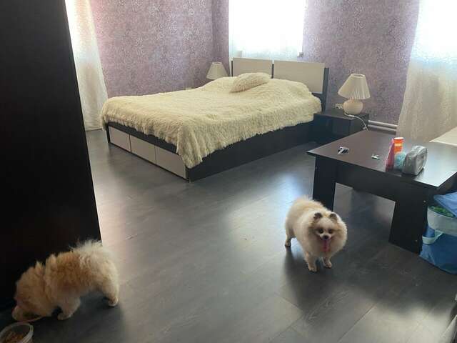 Гостиница Зебра Йошкар-Ола-37